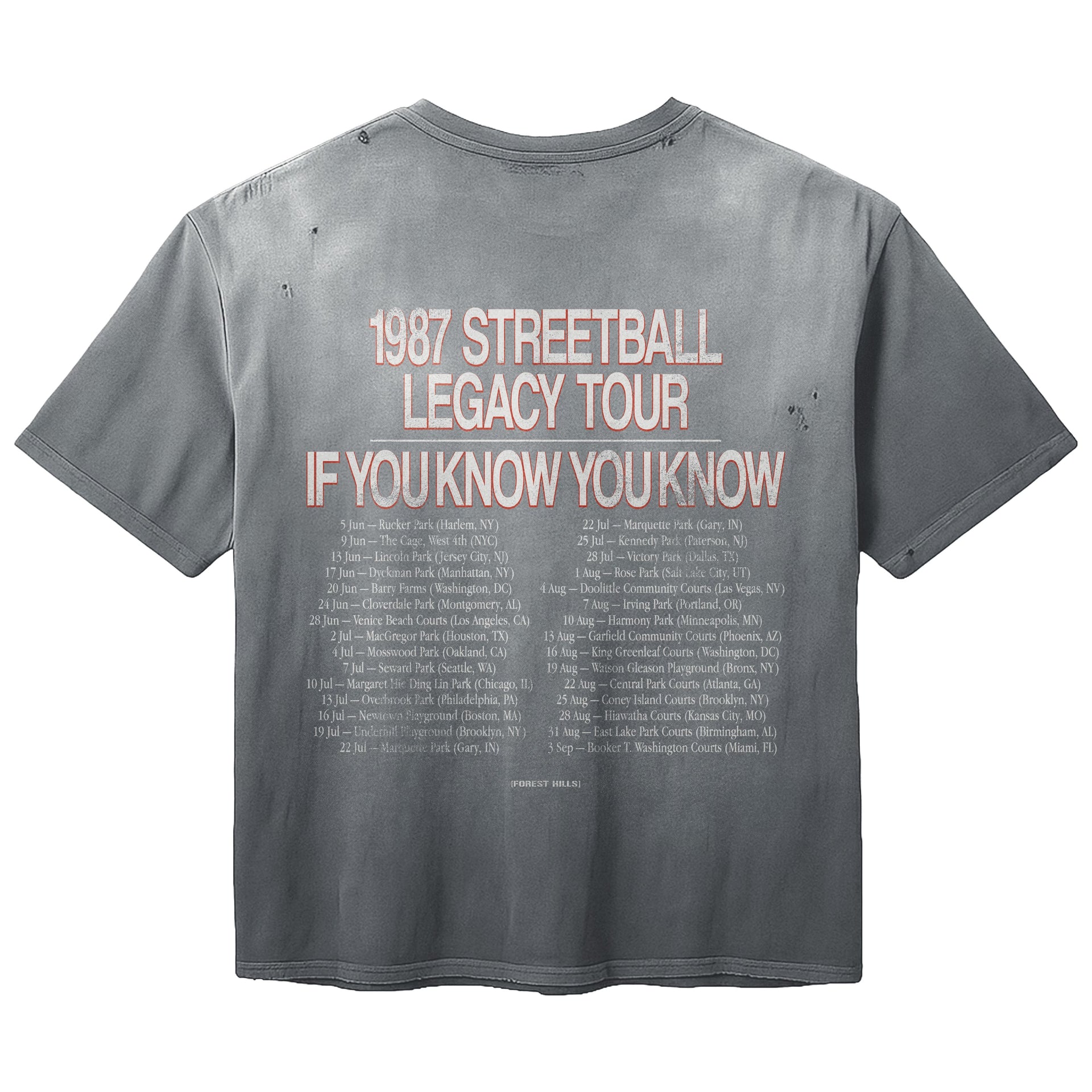 STREETBALL LEGACY TOUR TEE